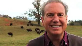 Carolina Bison Farm Tour