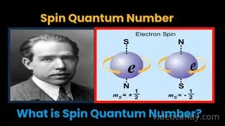 Spin Quantum Number