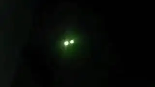Cat with glowing eyes