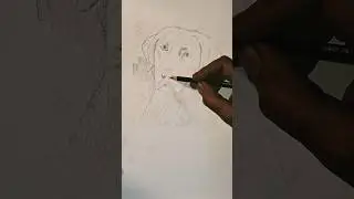 My father drew him.. #art #india #artist #shorts #famous #family #dog #love #usa #indian #labrador