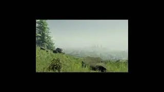 Breath Of The Wild View | The Forest VR