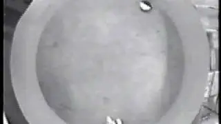 Robot Sheepdog gathers flock of ducks