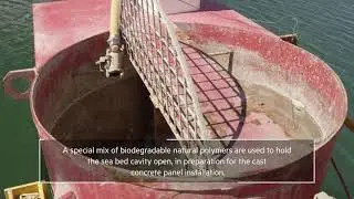 BNS Innovations Seawall Reconstruction