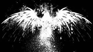 Finalfix - Shimmering - Promoted By Tranzino
