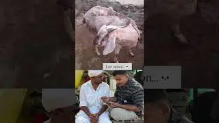 લાસ્ટ ઓપ્શન 😭😂😂