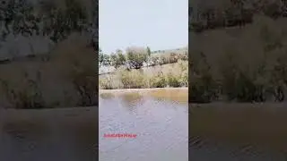Railway Actions  Sultankot