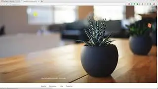 How to Scroll Post Heading in WordPress?