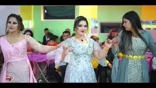 Party Kobani Daryos und Jiyana عرس كوباني  داريوس وجيانا 
