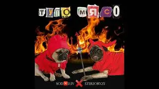 SODA LUV, stereoRYZE - ТУПО МЯСО (ПОЛНЫЙ АЛЬБОМ)