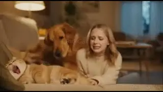 Даже не прикоснулся к ней 😭 | Самые смешные моменты кошачьей драмы 😹🐾