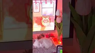 🎀Soft blush cozy desk setup 🖥️ 🎀 pc#hellokitty #desksetup #cozydesksetup #pink #gamergirl