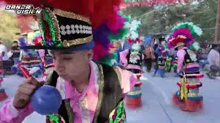 Son EL CADERNAL  |  Danza Guadalupana los Garza en Salitre SLP 2025