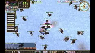 Mystralia (FlyFF Private Server) BP with RM Farming at Azria
