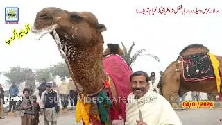 Baba Fazal Shah Kalyami (R.A)  Kalyam Sharif Mela 2024 Part04