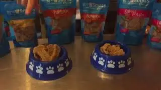 Brewscuits Promo Video