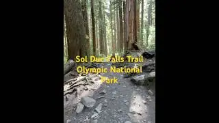 E9: Hiker views - Sol Duc Falls Trail - Olympic National Park - Washington State, USA