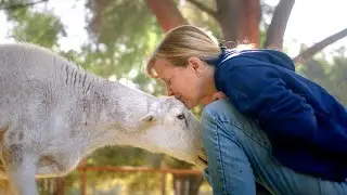 Kindred Spirits Care Farm Animal Sanctuary