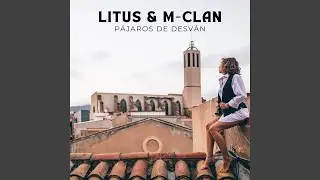 Pájaros de Desván