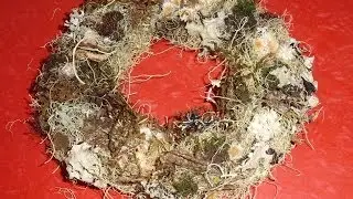 DIY Lichen and Moss Wreath (soft spoken for relaxation)