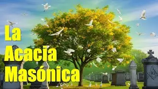 3. The Acacia. The Symbol of Immortality.