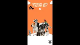 Happy National Love Your Pet Day!