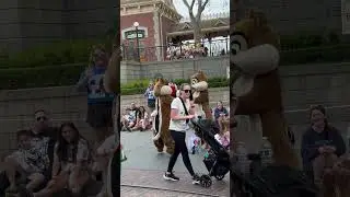 Chip & Dale fun #disney #disneyland #chipanddale #magichappens #ytshorts #shortsvideo