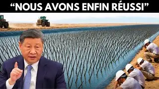 La Chine A Enterré Des Arbres Morts... 10 Ans Plus Tard, Le Résultat Est Dingue