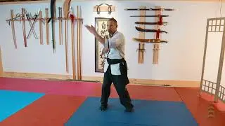 Eight Gates Drills -  Single Hand,  Double Hand,  10 Ward Off Drill - Demonstration for students