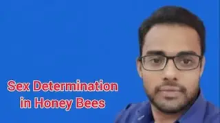 Sex Determination in Honey Bees | important topic video | Board exams | 2025-26