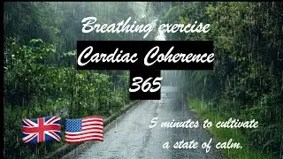 Breathing Exercise : Cardiac Coherence 365 (Rain Ambiance)
