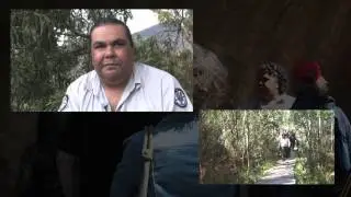 ACT Parks & Conservation Service - Gang Gang Reflections