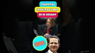 PANistas Censuran Video en el Senado