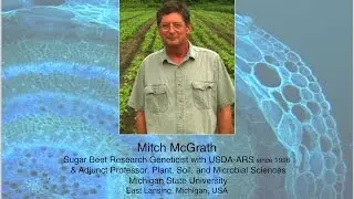 Sugar Beet Genetics, Genomics, and Germplasm Enhancement