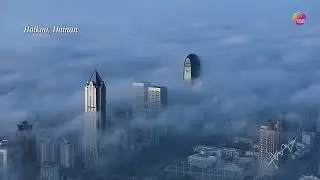 Stunning City in Sky