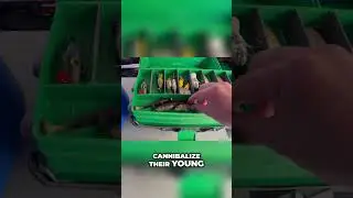 Ловля щуки: секретные модификации и хитрости приманок #шорты