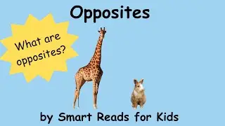 Opposites #2/What are opposites, up and down,  big and small, Name the opposites. PreK, Toddler, fun