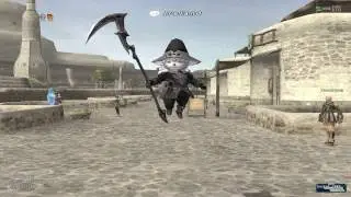 Final Fantasy XI FFXI DRK99WHM49 DRK Dark Knight Ireland Ark Scythe Costume 14.09.16