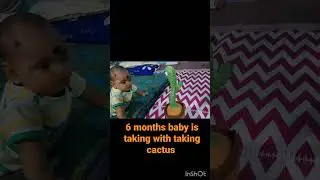 6 months baby is taking with taking cactus 🌵🌵🌵🌵
