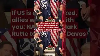 If US is ever attacked, allies will stand with you: NATO chief Mark Rutte to Trump at Davos