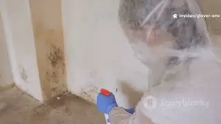 How to find Hidden Mold in your Raleigh, Cary, Apex Home, Glover Environmental Trusted Mold Experts.