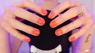 ASMR 99.99% Chance of Sleep and Instant Tingles (No Talking)
