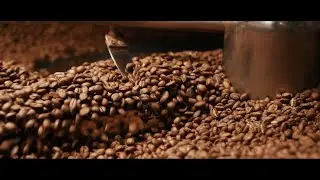 Specialty Coffee Roastery Commercial | Cinematic Video G80 handheld