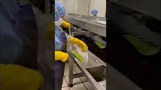 Aloe Vera gel manufacturing process