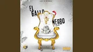 El Gallo Negro