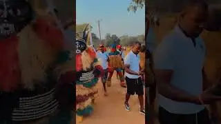 Masquerade parade #dance #fypシ゚viral #shorts