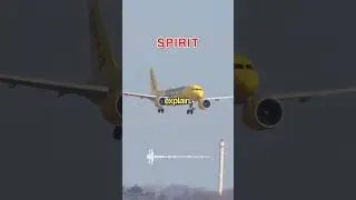 Антонов спасает экстренную свадьбу Спирита 😳