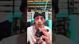 Baitcaster vs spinning reel #bassfishing #fishingreel #baitcaster #fishingtips #fishing