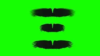 Dark Angel Bird Wings - Green Screen Animation