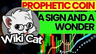 WikiCat Prophetic Word | Wealth Transfer Strategy