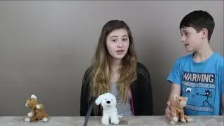 DeerAngel Explains Branches of Government!